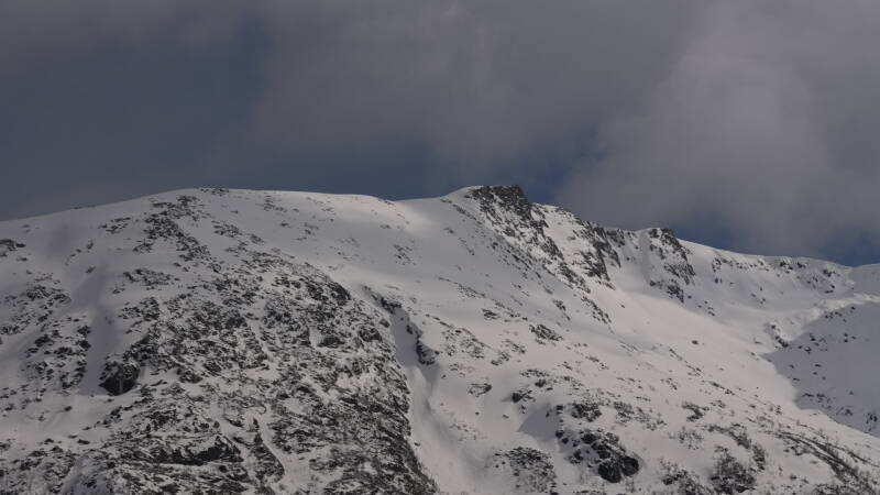dsc08601-standard.jpg