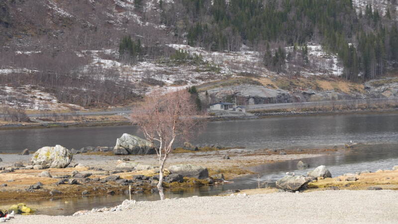 dsc08603-standard.jpg
