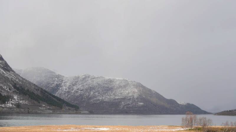 dsc08605-standard.jpg