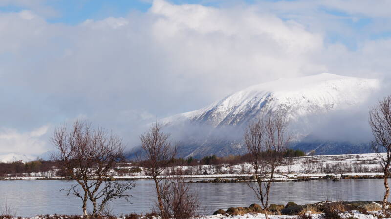 dsc08653-standard.jpg