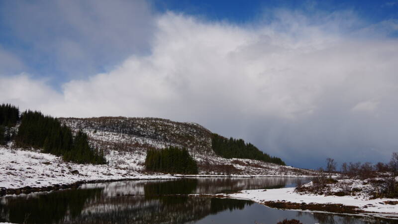 dsc08657-standard-16r3yy.jpg