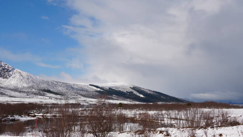 dsc08662-standard.jpg