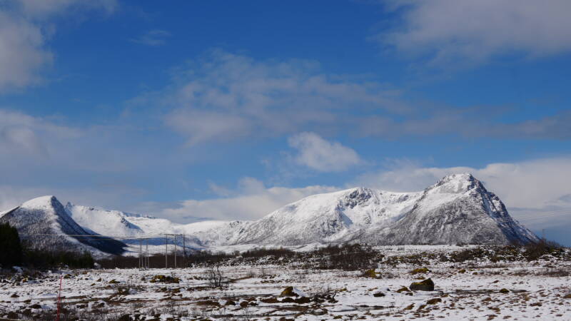 dsc08690-standard.jpg