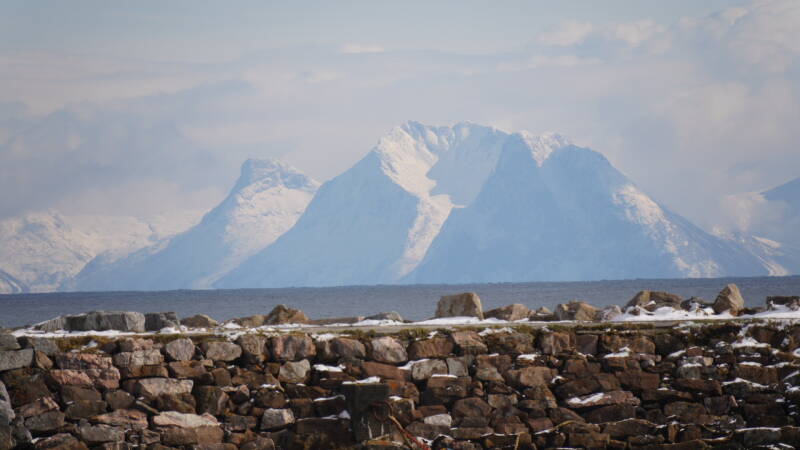 dsc08693-standard.jpg
