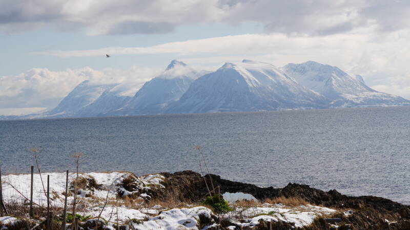 dsc08700-standard-tagnh3.jpg