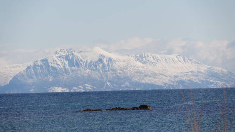 dsc08718-standard-uegqsd.jpg