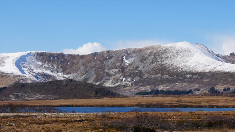 dsc08751-standard.jpg