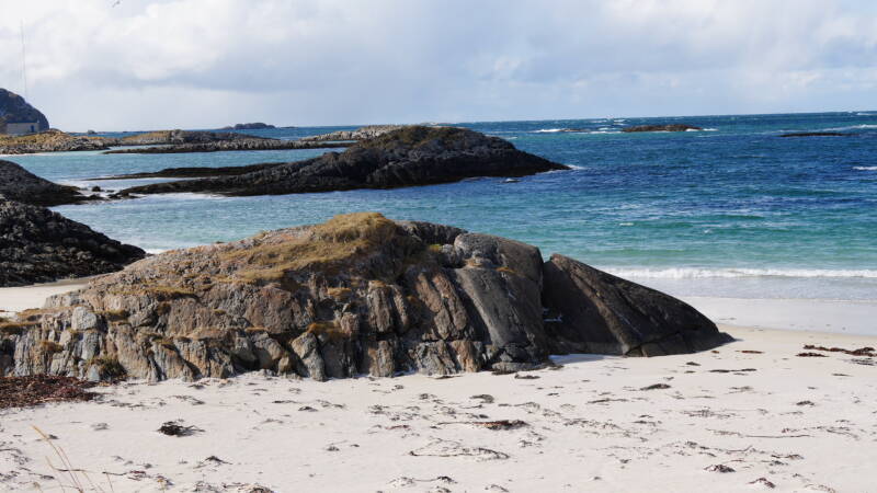 dsc08758-standard.jpg