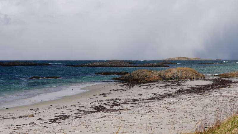 dsc08759-standard.jpg