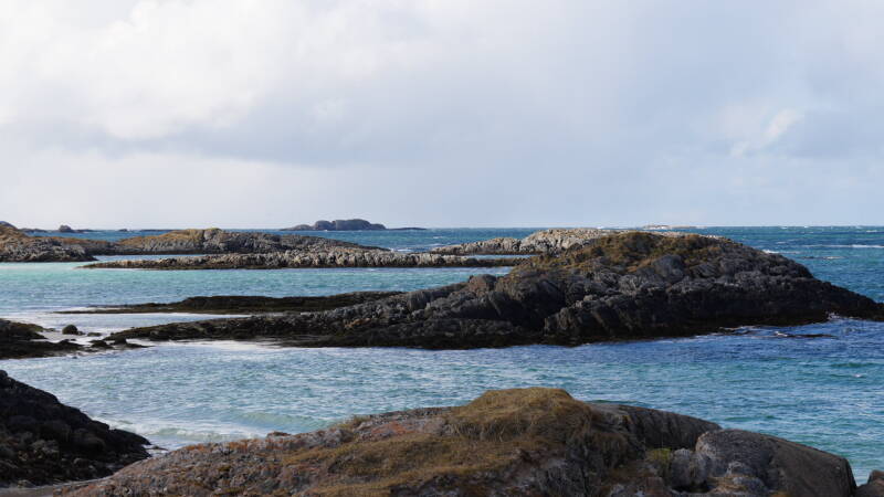 dsc08762-standard.jpg