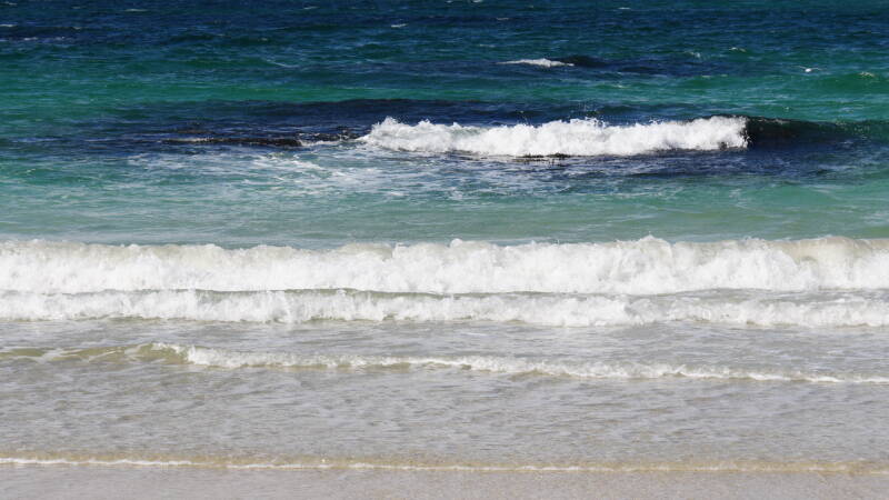 dsc08772-standard.jpg