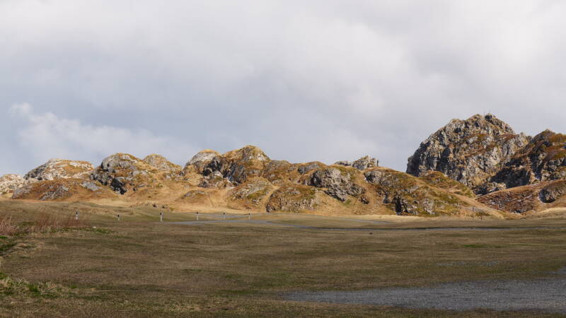 dsc08776-standard.jpg