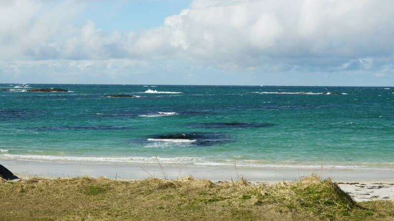 dsc08777-standard.jpg