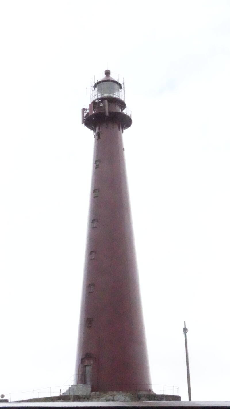 dsc08782-standard.jpg