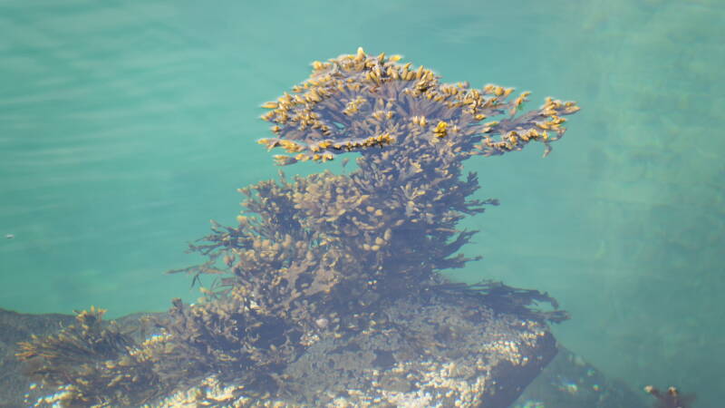 dsc08863-standard.jpg
