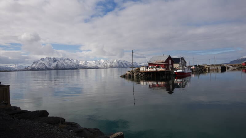 dsc08874-standard.jpg