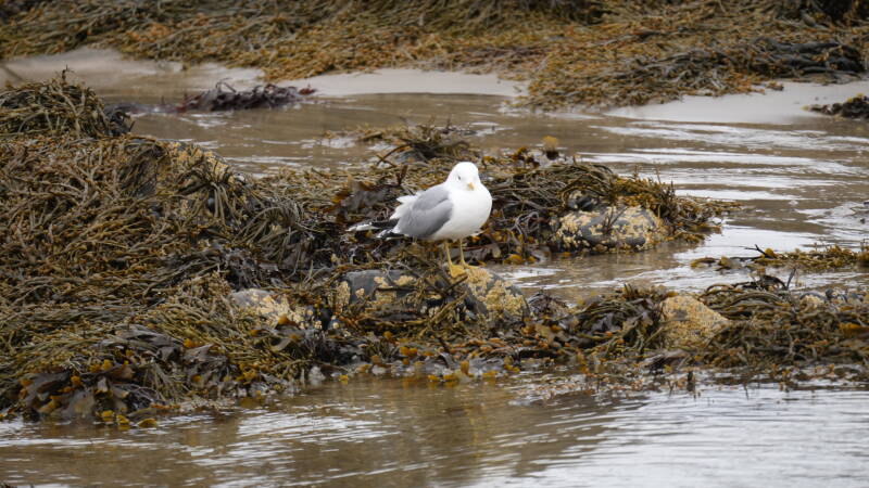 dsc08891-standard.jpg