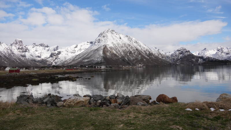 dsc08899-standard.jpg