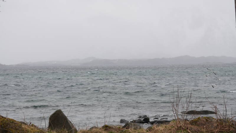 dsc08914-standard.jpg