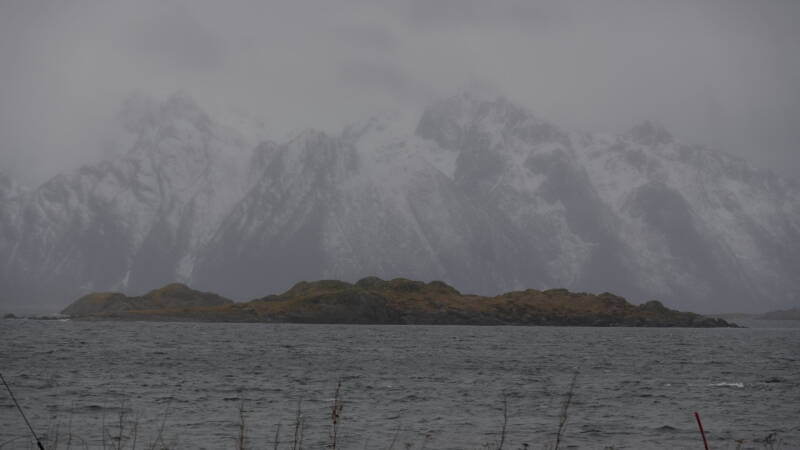 dsc08921-standard.jpg