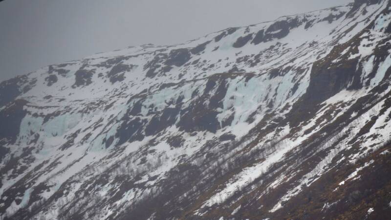 dsc08989-standard.jpg