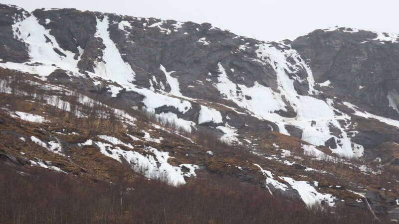 dsc08993-standard.jpg