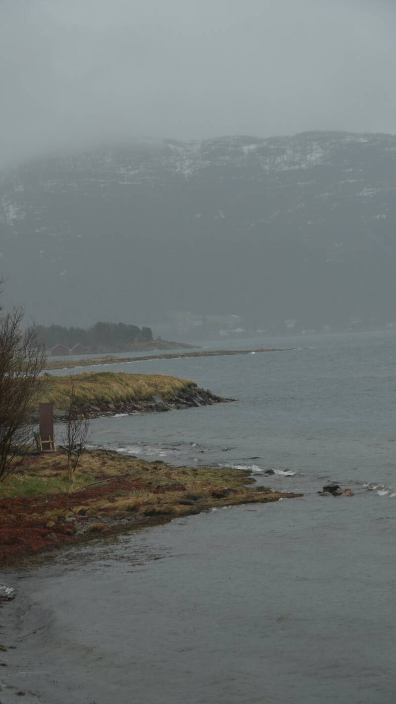 dsc09009-standard.jpg