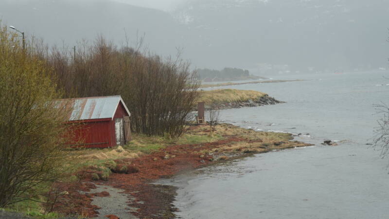dsc09010-standard.jpg