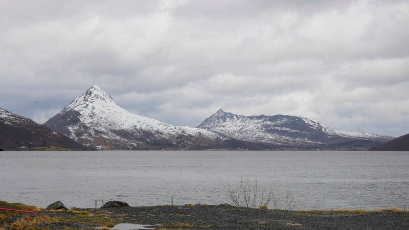 dsc09021-standard.jpg