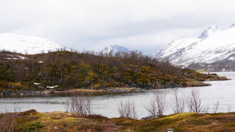 dsc09023-standard.jpg