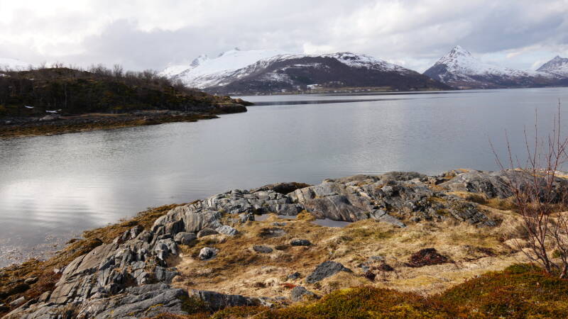 dsc09034-standard.jpg