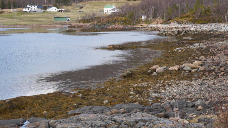 dsc09041-standard.jpg