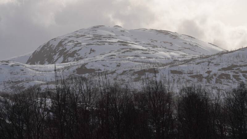 dsc09043-standard.jpg