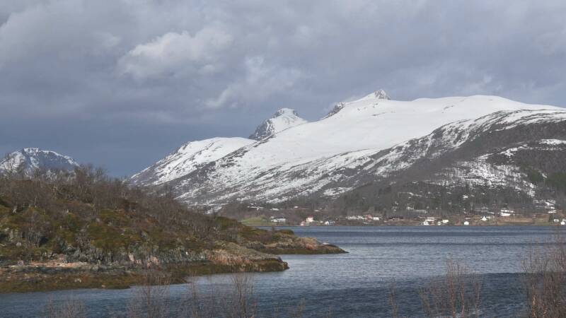 dsc09049-standard.jpg