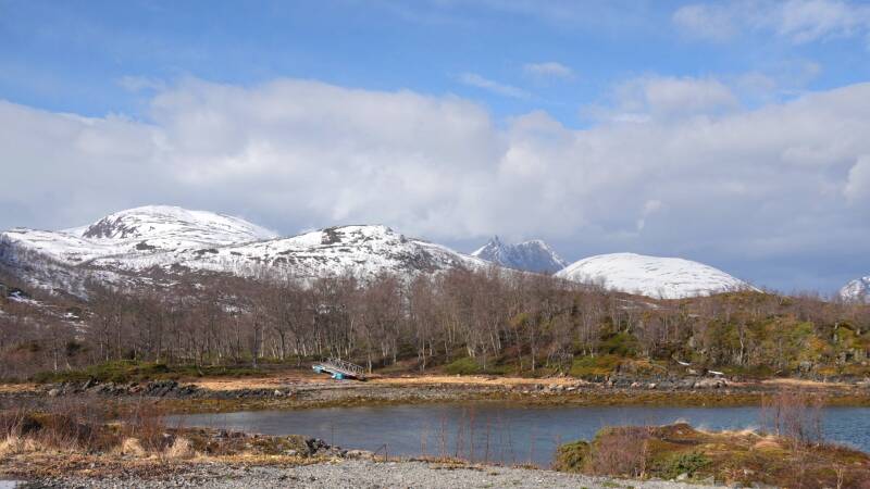 dsc09050-standard.jpg