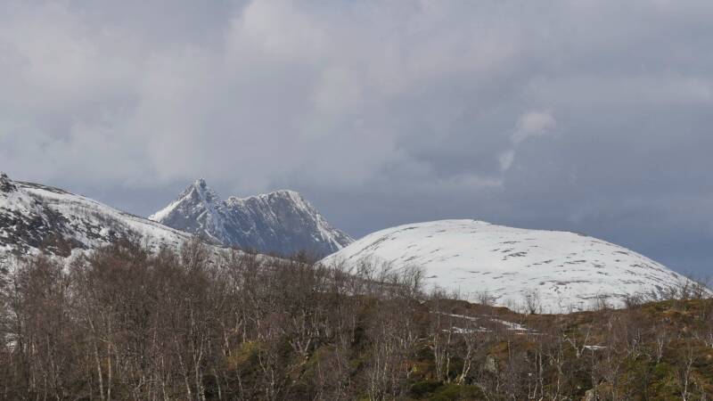 dsc09052-standard.jpg