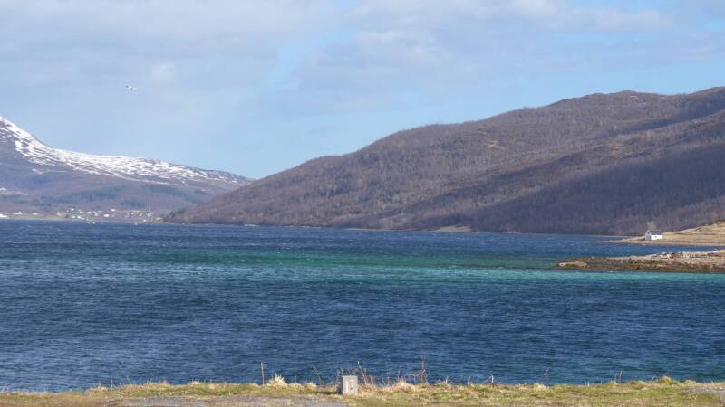 dsc09055-standard.jpg