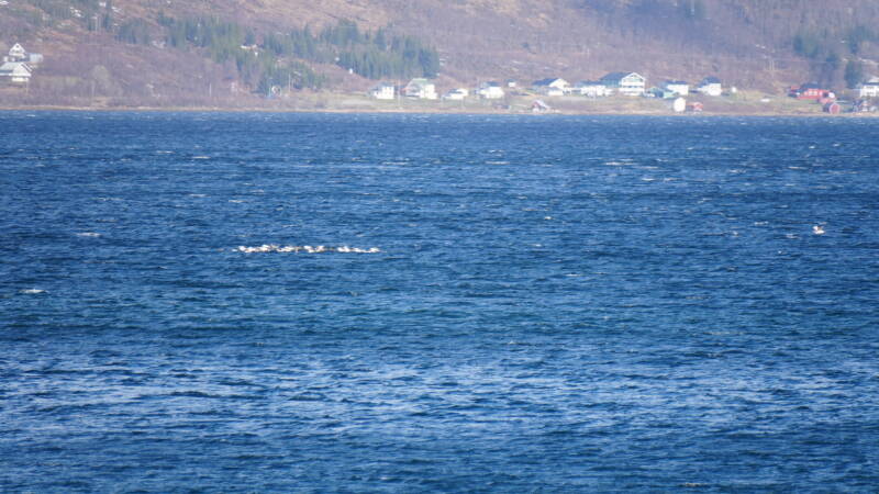 dsc09058-standard.jpg