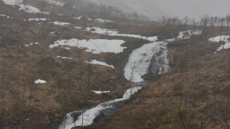 dsc09065-standard.jpg