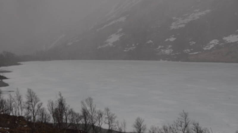 dsc09067-standard.jpg