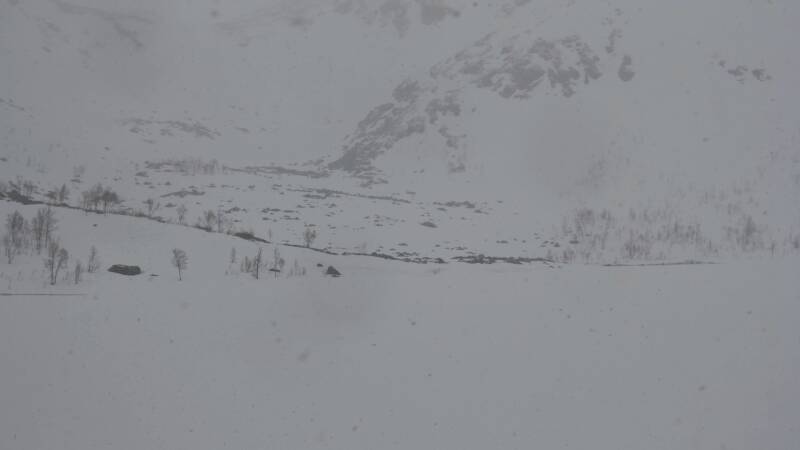 dsc09068-standard.jpg