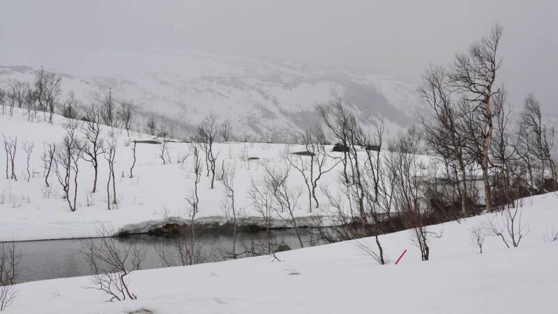 dsc09071-standard.jpg