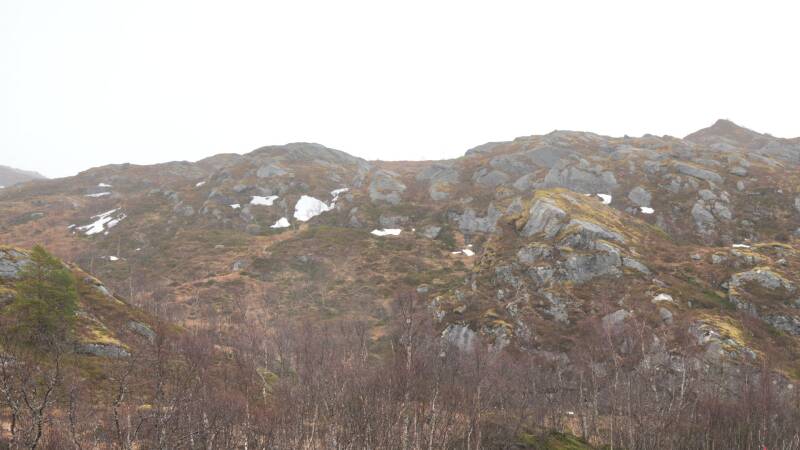 dsc09074-standard.jpg