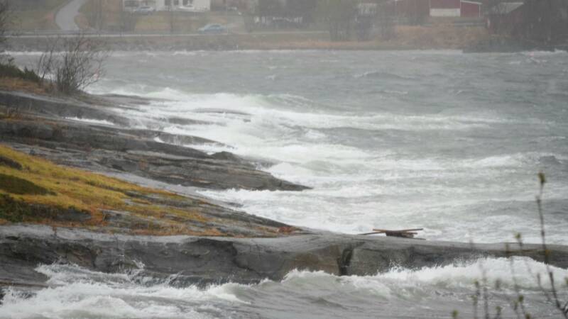 dsc09080-standard.jpg