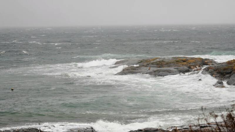 dsc09081-standard.jpg