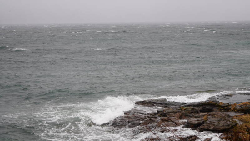 dsc09082-standard.jpg