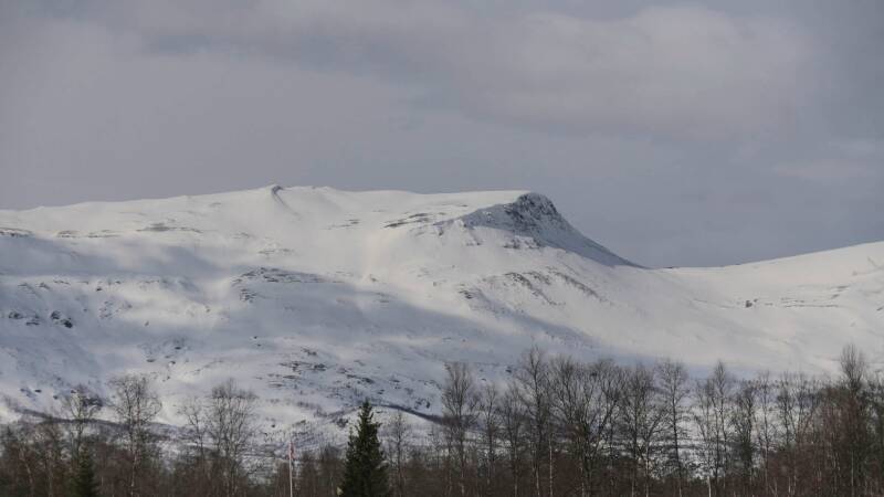 dsc09238-standard.jpg
