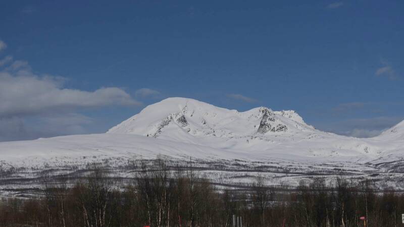 dsc09246-standard.jpg