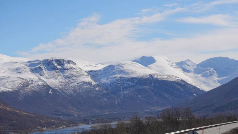dsc09262-standard.jpg