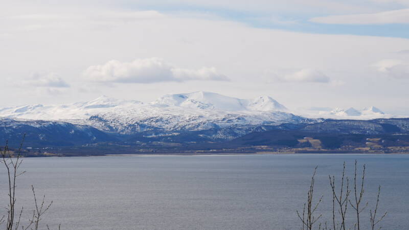 dsc09271-standard.jpg